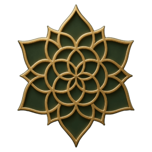 The Soul Led Life Level 01